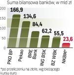 Słoweński NKBM  jest dużo mniejszy niż czołowe polskie banki, dużo wyższe aktywa ma także czeski CSOB. 