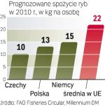 Firmy chciałyby rozwijać produkcję i inwestować. Ale popyt nie rośnie tak szybko, by te plany można było bezpiecznie realizować.