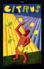 „Citrus” (1927), olej, collage