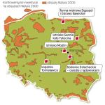 Farmy wiatrowe kontra siedliska ptaków. Inwestorzy powinni unikać ich lokalizacji na terenach Natura 2000. 