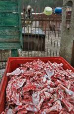W Celestynowie psy nie głodują  – dostają  codziennie 750 kg posiłku złożonego  z mięsa,  karmy, ryżu  i makaronu