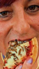 Pizza insect i owadburger pojawią się w jadłospisach