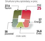 Potentaci Handlu energią w Polsce 