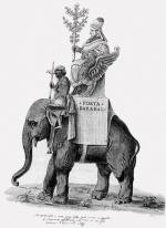 Hanno – słoń indyjski podarowany przez króla Portugalii Manuela I papieżowi Leonowi X   