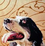 W Toskanii powstały m.in. realistyczne portrety psów