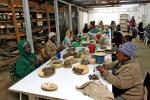 Obecnie  w warsztacie Kazuri  w Nairobi  pracuje  340 kobiet i kilku  mężczyzn