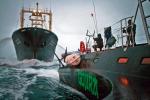  Aktywiści Sea Shepherd przygotowują się do ataku na statek-przetwórnię Nishin Maru