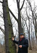 Leszek Zawadzki zapowiada, że w ostateczności, aby bronić parku, przykuje się do drzewa