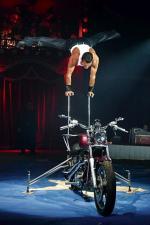 W programie cyrkowym nie może zabraknąć akrobatów