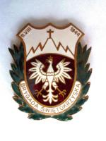 Odznaka  kombatancka  żołnierzy Brygady  Świętokrzyskiej NSZ