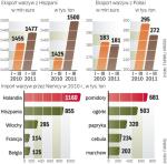 Hiszpania to duży eksporter warzyw w Unii