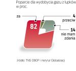 Polska powinna  inwestować w Łupki