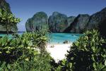 Hollywoodzcy producenci umieścili  na jednej  z wysp Phi Phi akcję filmu „Niebiańska plaża”  z Leonardo  Di Caprio