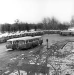 W razie wojny autobusy służyły do przewozu rannych