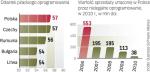 Producenci oprogramowania tracą w Polsce ponad 500 mln dol. rocznie. Straty wydawców, np. muzyki czy filmów, są nieznane.