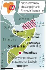 Od wybuchu wojny domowej w 1991 r. Somalia jest w stanie rozpadu. Islamski ruch al Szabab przejściowo  opanował nawet część stolicy kraju,  Mogadiszu.