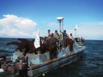 Szybkie łodzie Tamilskich Tygrysów wyruszają na morze 