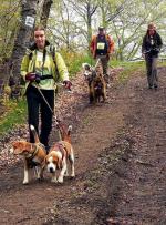 Zawodnicy i ich podopieczni podczas Pucharu Polski w Dogtrekkingu w Złotym Stoku w 2010 r.