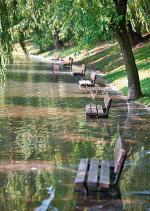 Park Szczęśliwicki. Widok uroczy  i smutny zarazem