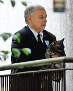 Jarosław Kaczyński z kotem Alikiem w 2010 r.