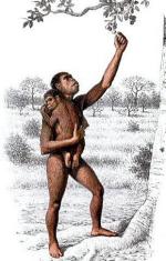 Homo habilis – nasz zręczny przodek 