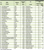 Firmy kontrolowane przez polskie spółki. Companies controlled by polish companies (2)