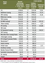 Finansowanie udzielone przez leasingodawców