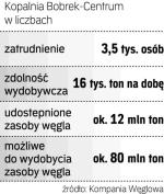 Bobrek-Centrum to ostatnia kopalnia w Bytomiu, jedna  z 15 w Kompanii Węglowej, węgla ma na ok. 20 lat. 