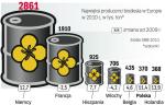 Polska jest w czołówce państw dofinansowujących produkcję biopaliw, których w Europie najwięcej wytwarzają Niemcy. 