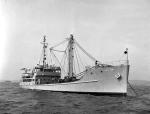 Inne amerykańskie jednostki rozpoznawcze: USS „Banner” i USS   „Oxford”       
