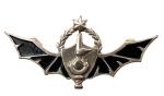Odznaka formacji izrelskiej komandosów morskich Shayetet 13  