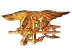 Odznaka amerykańskich Navy SEALs