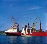 Jacht „Polonez” Krzysztofa Baranowskiego wpływa do Szczecina, kończąc rejs dookoła świata, 24 czerwca 1973 r. 