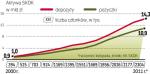 Rośnie znaczenie SKOK-ów