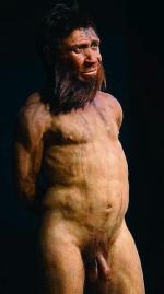 Wygląd tego mężczyzny neandertalczyka został odtworzony na podstawie niemal kompletnego szkieletu odkopanego  w 1886 roku  w belgijskiej jaskini Spy