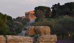 Nad koronami oliwek żarzą się pomarańczowym blaskiem doryckie kolumny świątyni Heraklesa