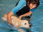 Na psią  nudę – kąpiel w basenie pod okiem trenera 