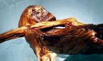 Analiza krwi Ötziego pozwoli poznać wiele jego cech osobistych, m.in. układ odpornościowy  