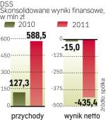 DSS mocno pod kreską