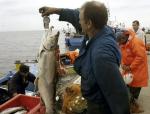 Polscy rybacy są znacznie częściej kontrolwani niż ich koledzy z krajów skandynawskich 