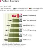 Najefektywniejsze fundusze dynamiczne