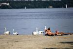 Brzegi  zalewu w Białobrzegach, Ryni, Jachrance znów są czyste