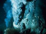 Kominy hydrotermalne są domem dla wielu organizmów