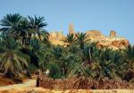 Ruiny Świątyni Wyroczni w oazie Siwa