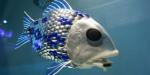Sztuczna ryba umożliwia wykrywanie zanieczyszczeń w wodzie