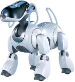 Słynny robot Sony - Aibo - to wyrafinowana zabawka, która zastępowała prawdziwego pieska japońskim dzieciom