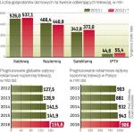 Naziemna TV w 2013 r. nie wzrośnie reklamowo