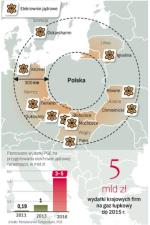 Polska wyspą w swoim regionie bez atomu
