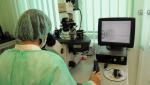 W Polsce w 2010 roku było ponad 50 specjalistycznych klinik, które łącznie wykonują ok. 9 tysięcy zabiegów in vitro 