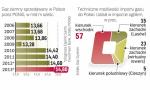 Zużycie gazu w Polsce będzie powoli rosło